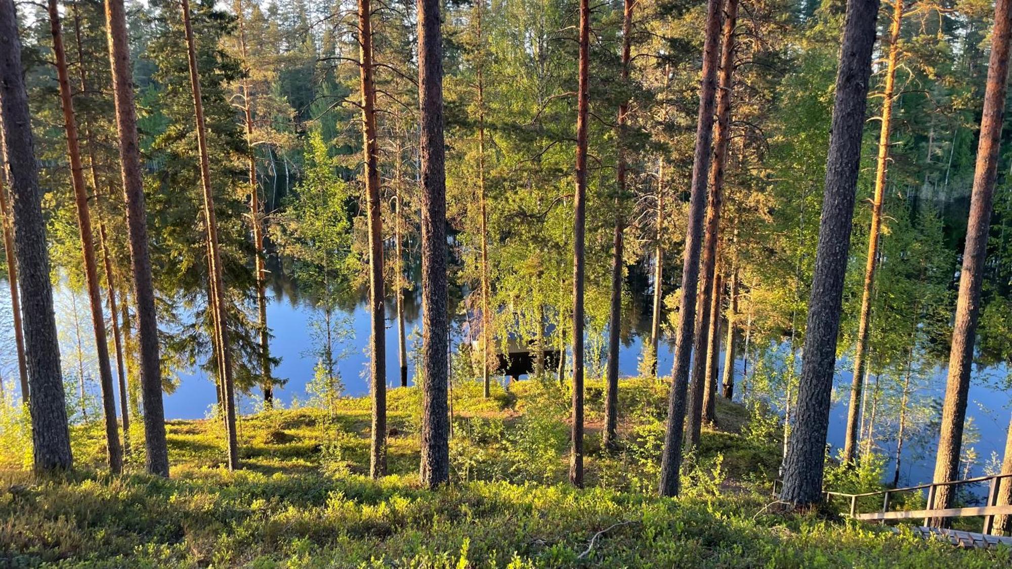 Ahvenlampi Camping Saarijärvi Eksteriør bilde