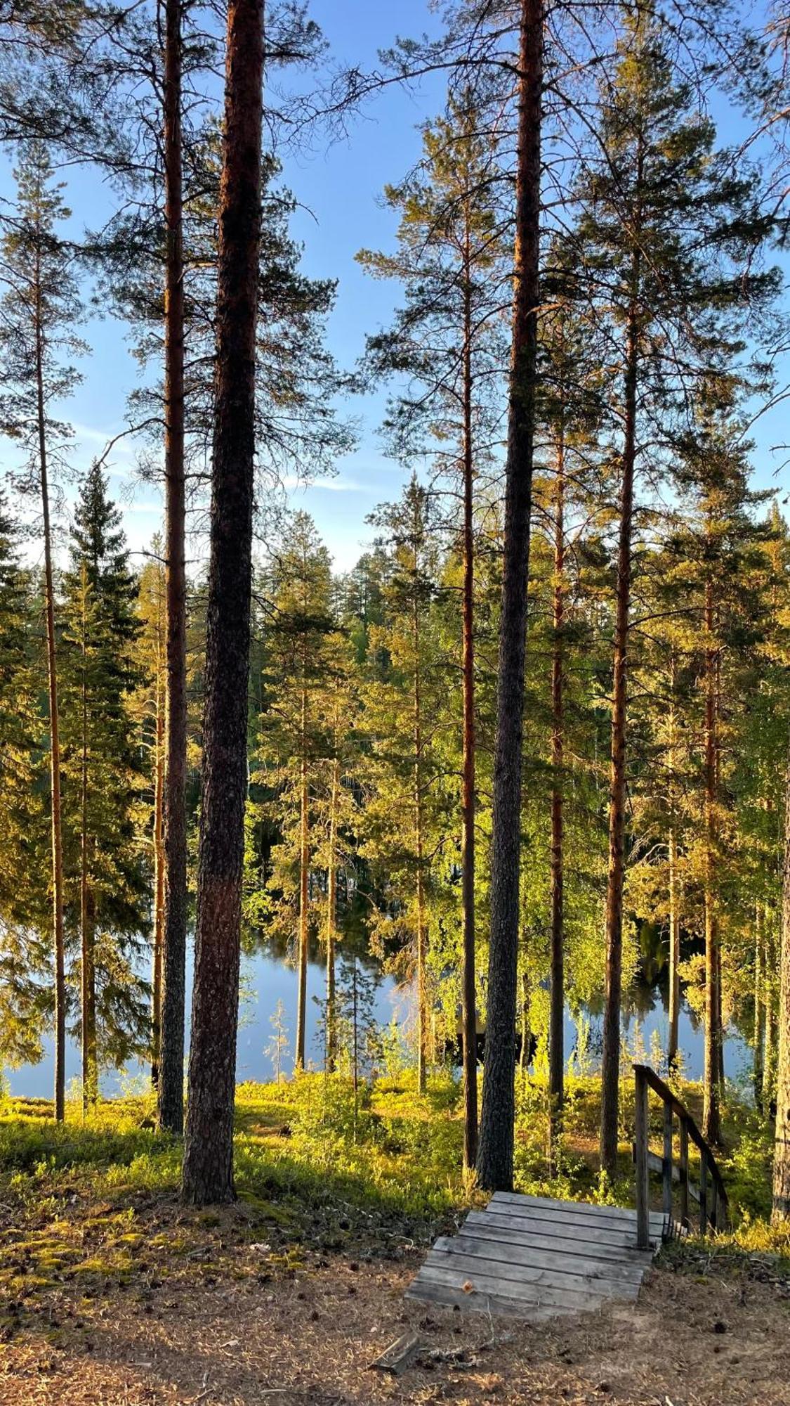 Ahvenlampi Camping Saarijärvi Eksteriør bilde