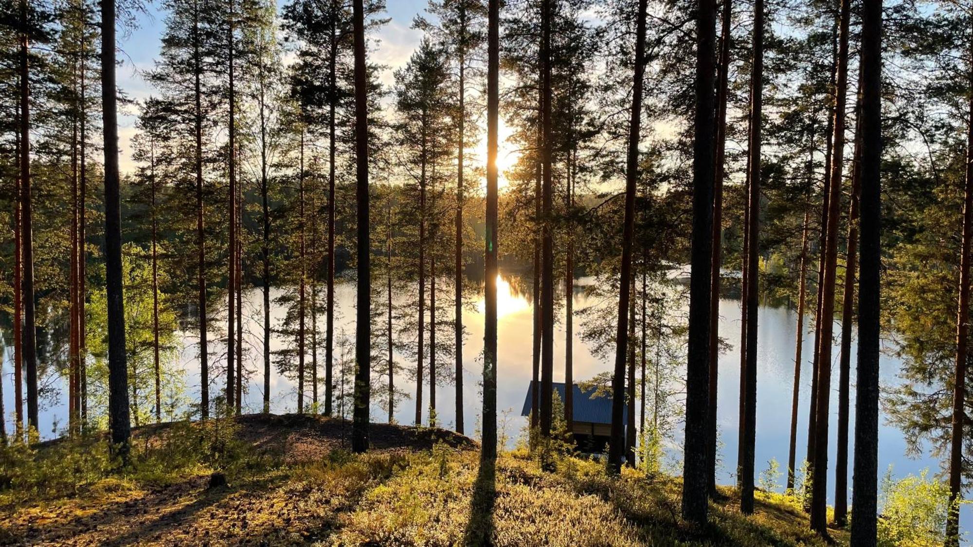 Ahvenlampi Camping Saarijärvi Eksteriør bilde