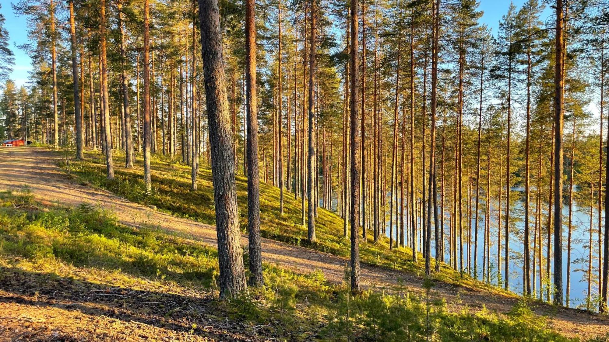 Ahvenlampi Camping Saarijärvi Eksteriør bilde