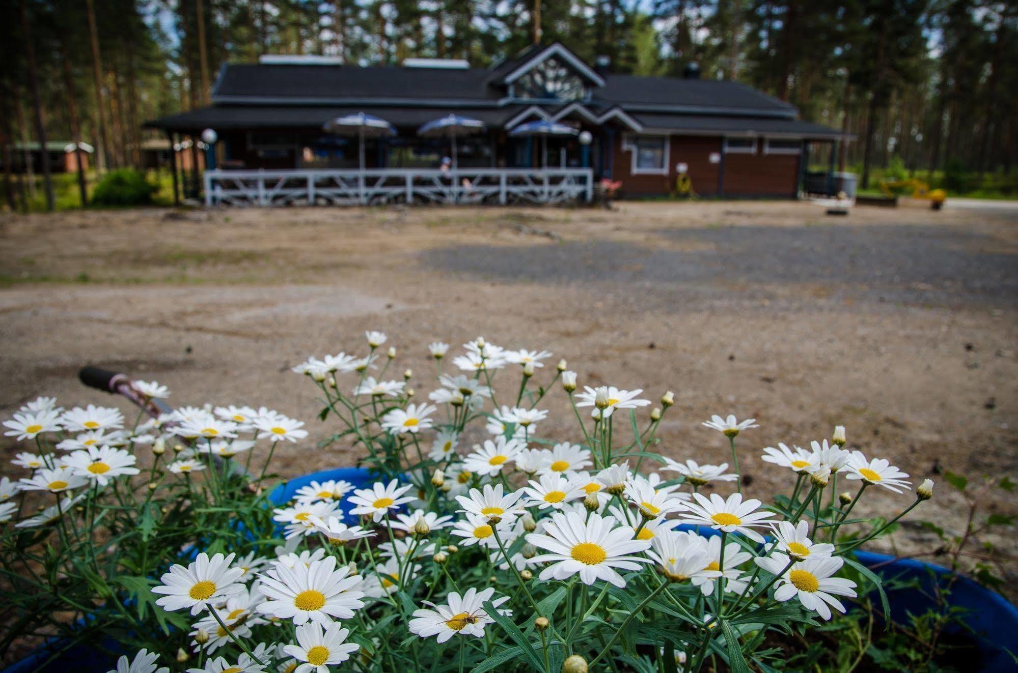 Ahvenlampi Camping Saarijärvi Eksteriør bilde