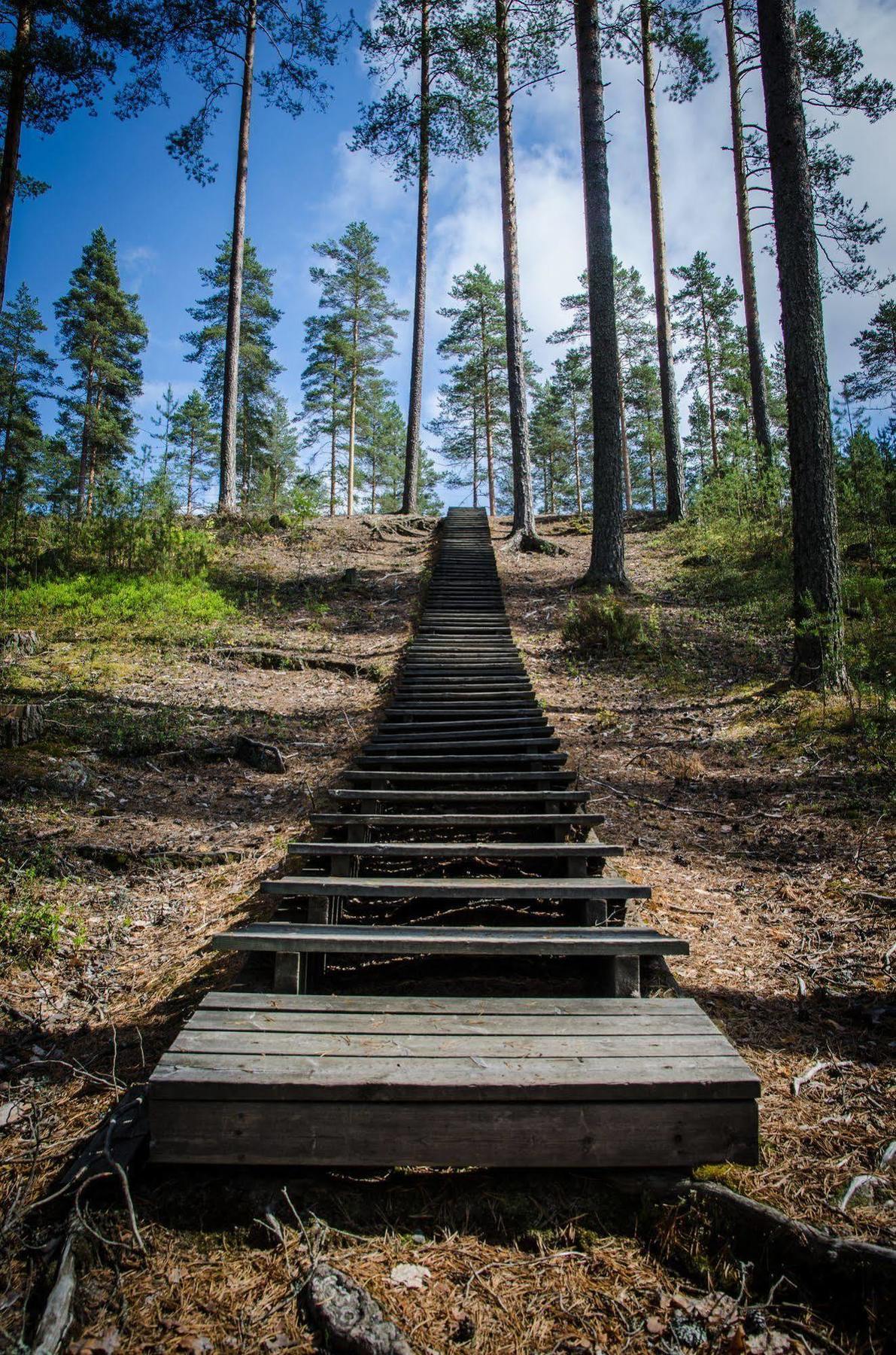 Ahvenlampi Camping Saarijärvi Eksteriør bilde